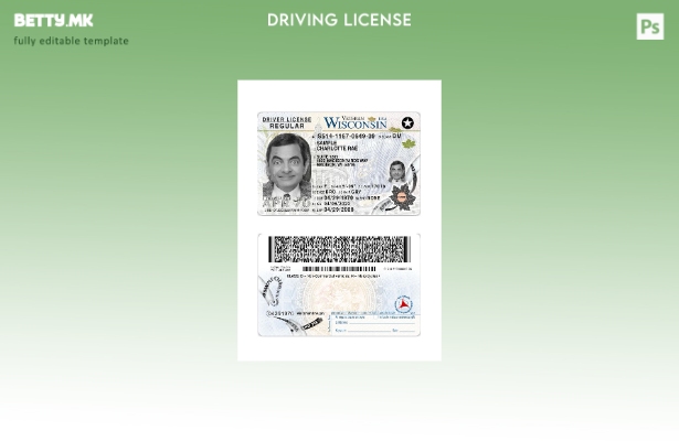 Модерен стил присутен шаблон за возачка дозвола од САД Висконсин